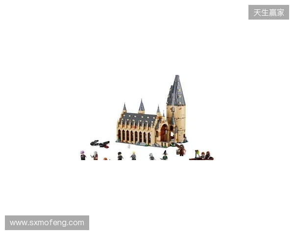 安东内拉：爱拼霍格沃茨城堡，家里有类似博物馆空间放乐高